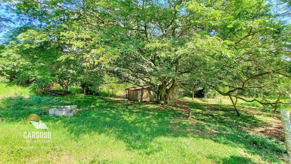 Sítio, 18 hectares - Foto 6