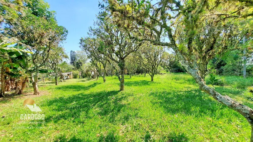 Sítio, 18 hectares - Foto 8