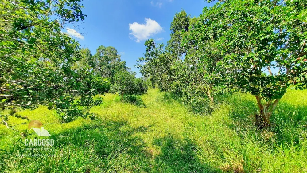 Sítio, 18 hectares - Foto 11