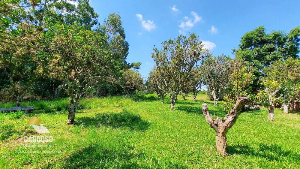 Sítio, 18 hectares - Foto 9