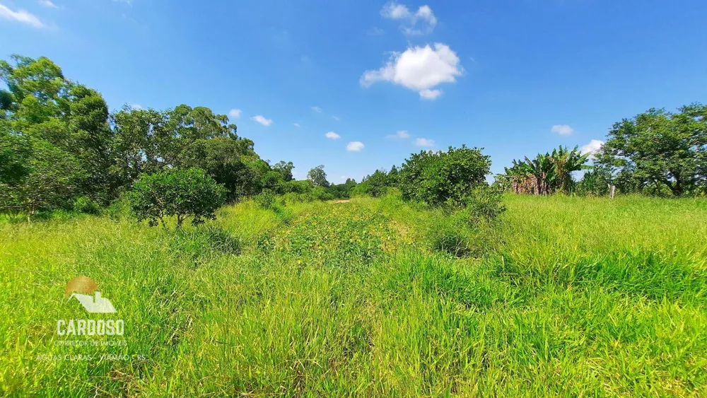 Sítio, 18 hectares - Foto 12