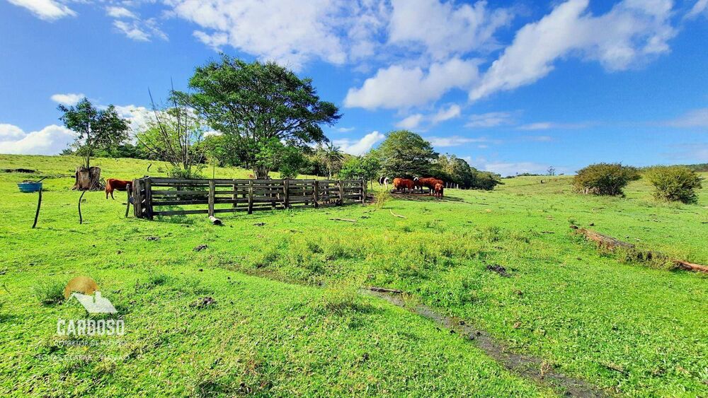 Sítio, 9 hectares - Foto 4