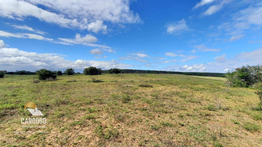 Sítio, 9 hectares - Foto 7