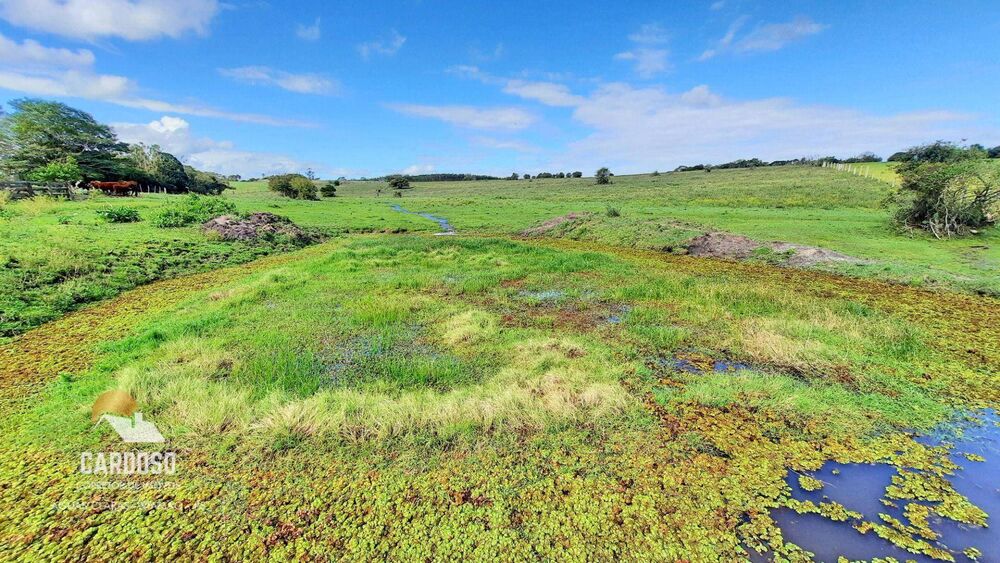 Sítio, 9 hectares - Foto 2