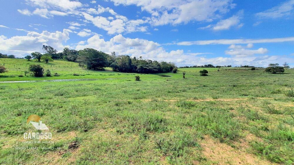 Sítio, 9 hectares - Foto 5