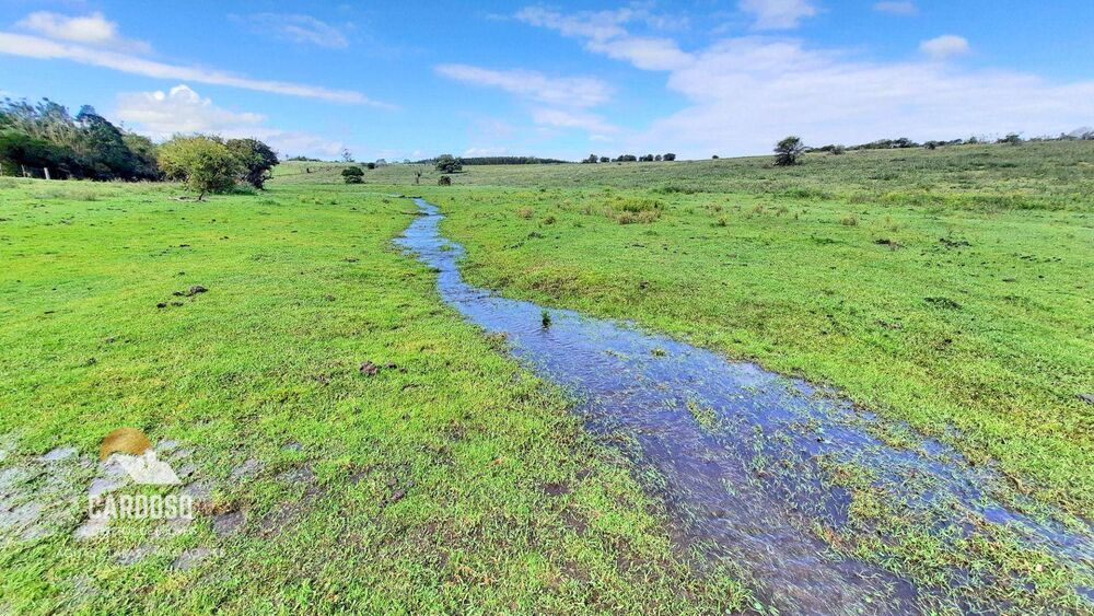 Sítio, 9 hectares - Foto 1