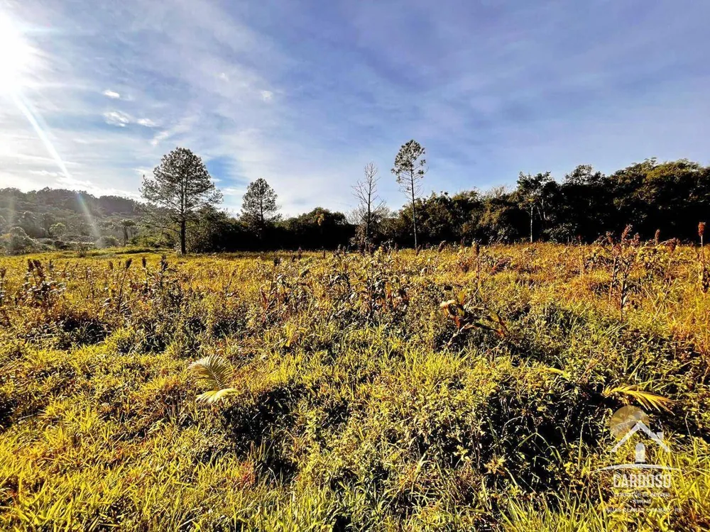 Sítio, 11 hectares - Foto 4