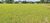 Terreno, 1000 m² - Foto 6
