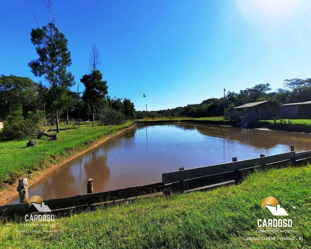Sítio à venda com 4 quartos, 120000M2 - Foto 4