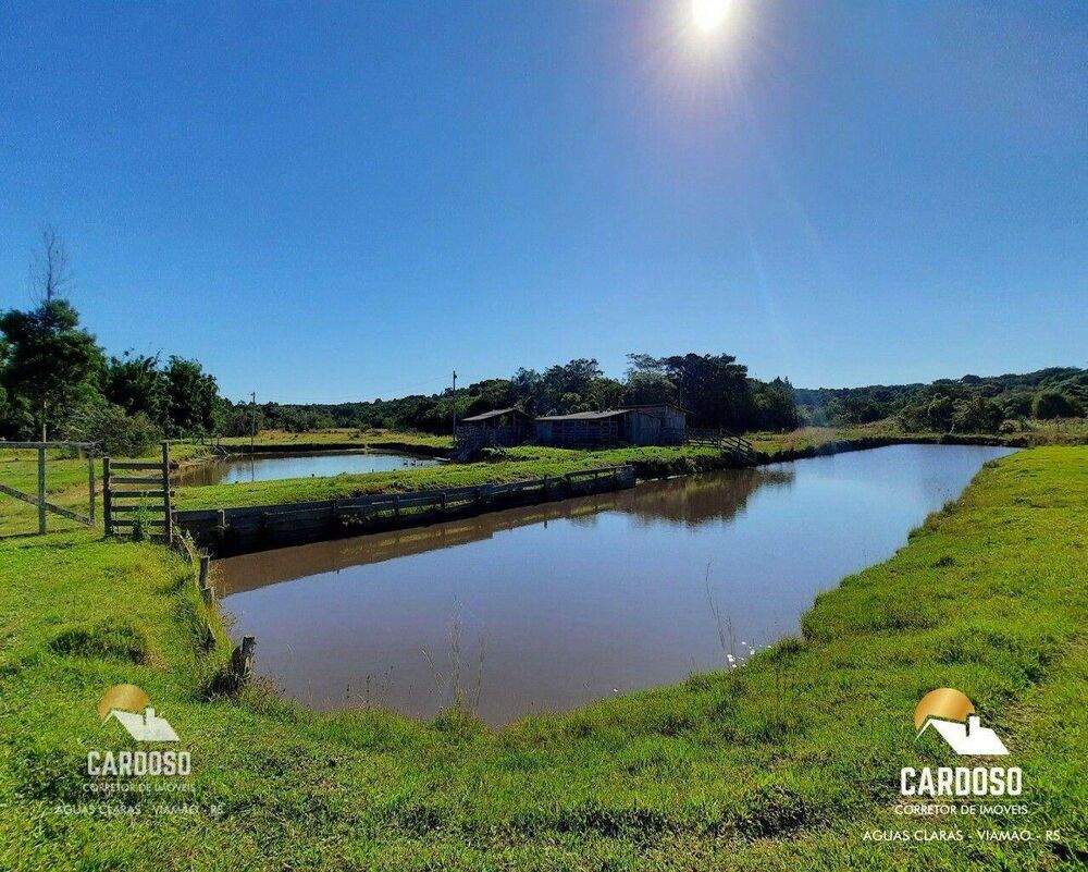 Sítio à venda com 4 quartos, 120000M2 - Foto 3