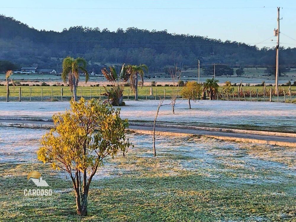 Sítio, 4 hectares - Foto 7