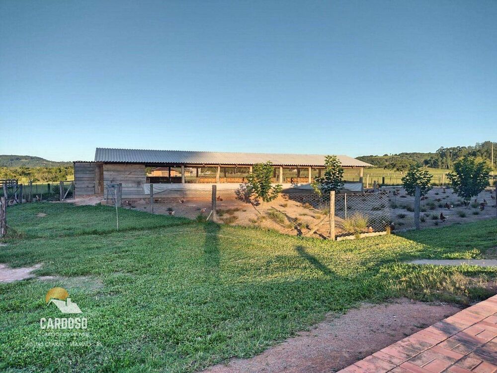 Sítio, 4 hectares - Foto 8