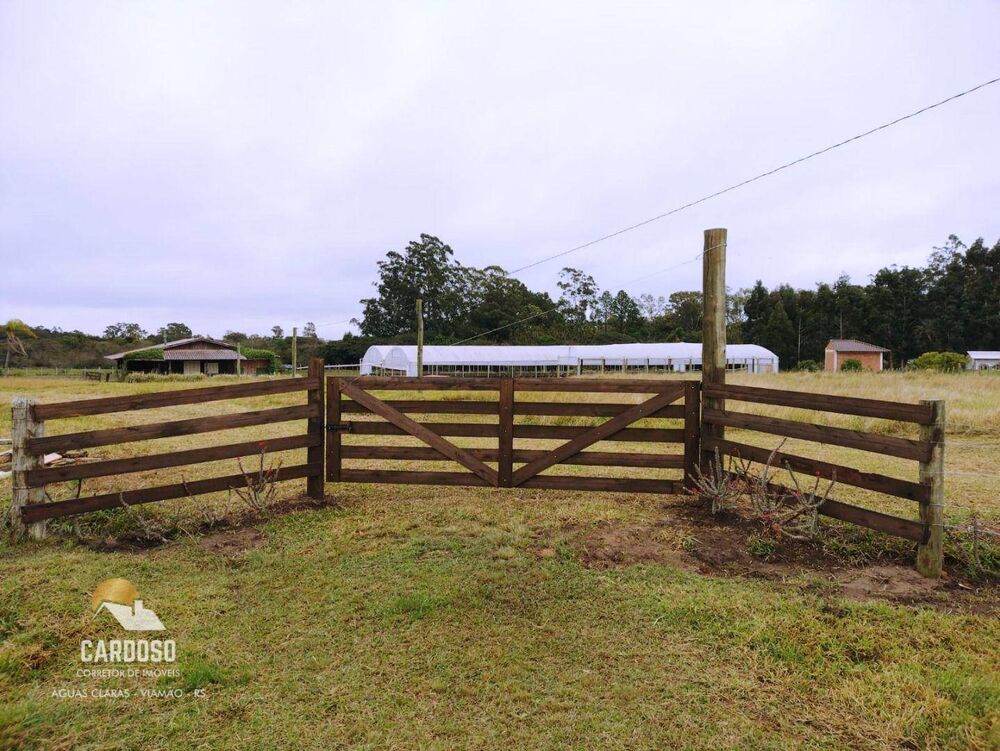 Sítio, 4 hectares - Foto 10