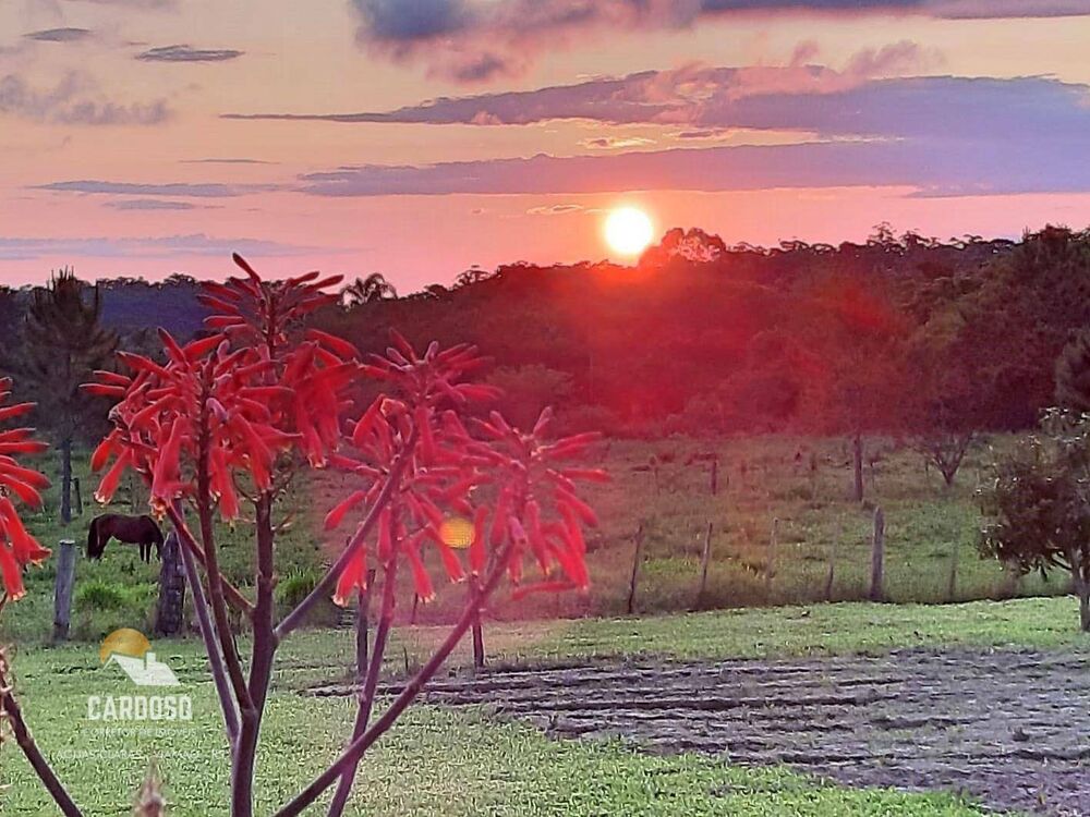 Sítio, 4 hectares - Foto 6