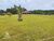 Sítio, 4 hectares - Foto 3