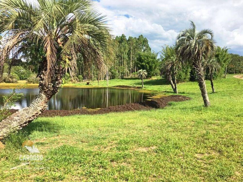 Sítio à venda com 3 quartos, 1163M2 - Foto 20