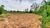 Terreno, 999 m² - Foto 3