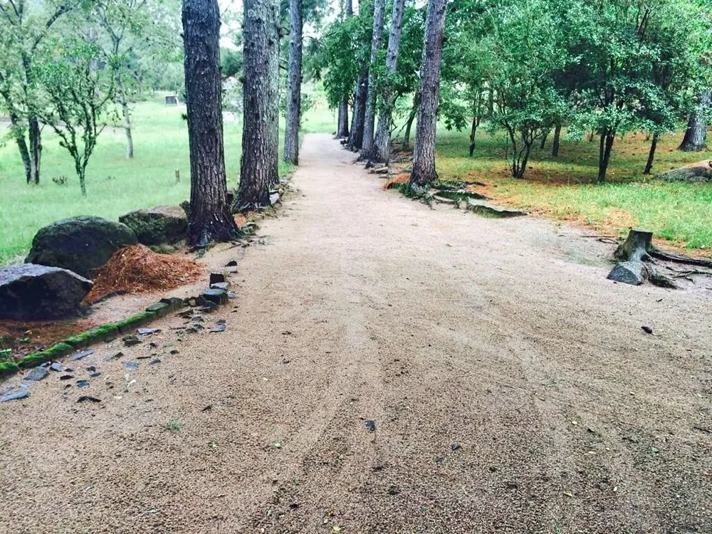 Sítio à venda, 800000M2 - Foto 2