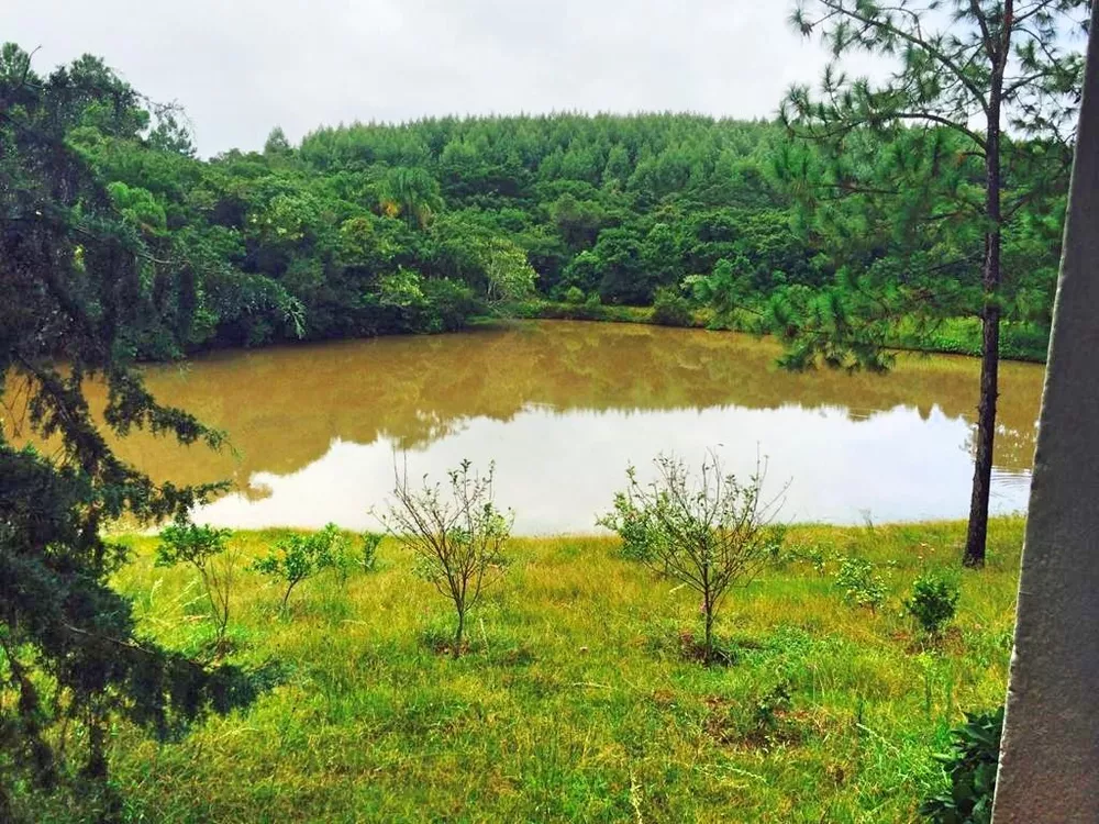 Sítio à venda, 800000M2 - Foto 4