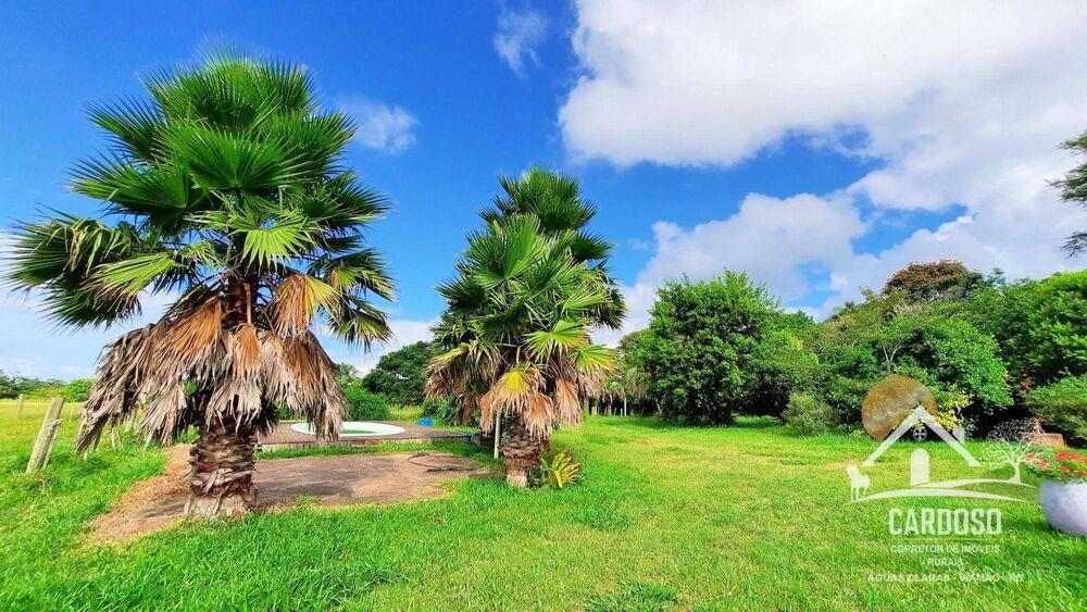 Sítio, 4 hectares - Foto 2