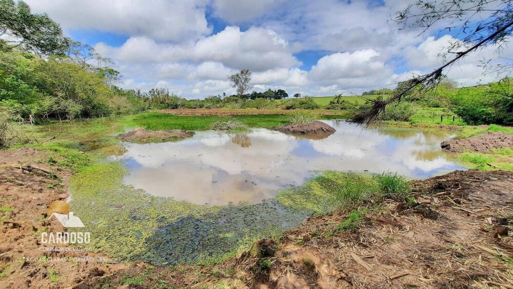 Sítio, 3 hectares - Foto 1