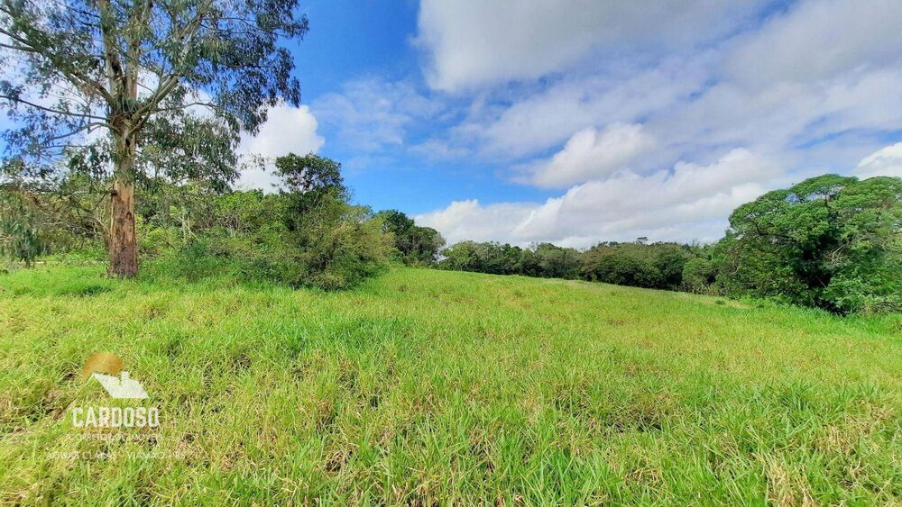 Sítio, 3 hectares - Foto 2