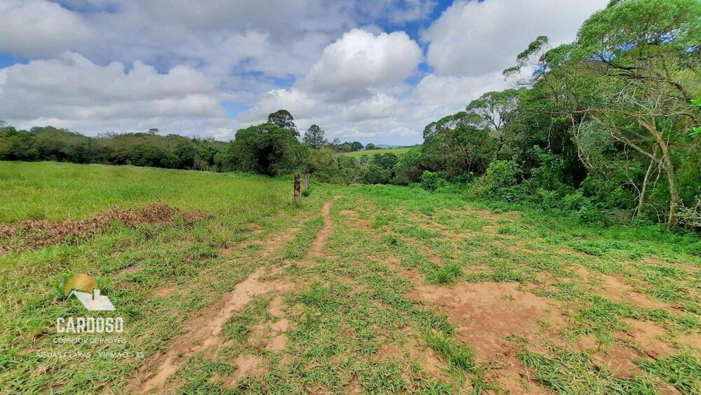 Sítio, 3 hectares - Foto 3