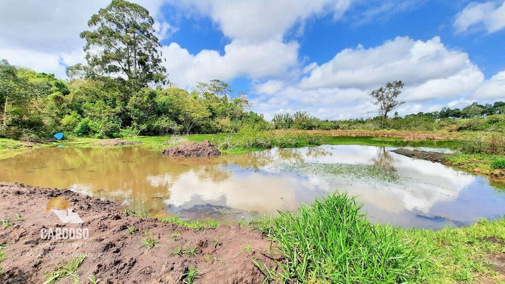 Sítio, 3 hectares - Foto 4