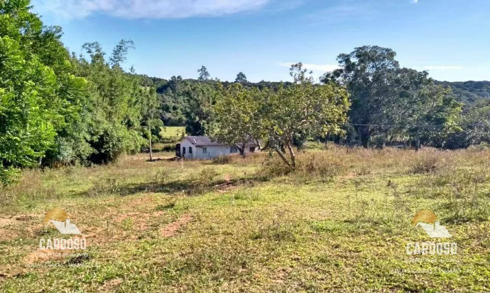 Sítio, 19 hectares - Foto 3