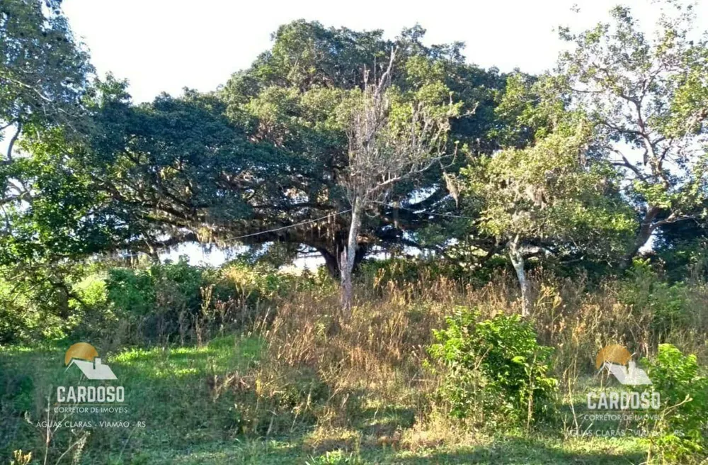 Sítio, 19 hectares - Foto 4