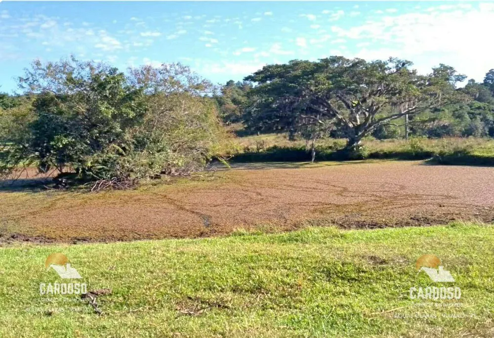 Sítio, 19 hectares - Foto 1