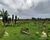 Sítio, 3 quartos, 3 hectares - Foto 7
