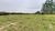 Sítio, 5 hectares - Foto 3