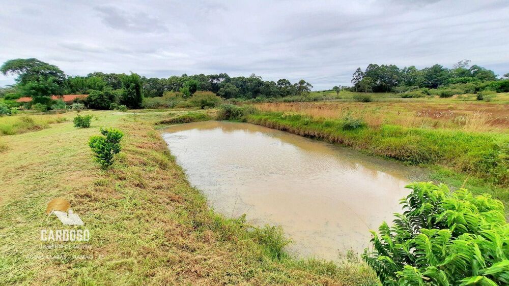 Sítio, 3 quartos, 3 hectares - Foto 8