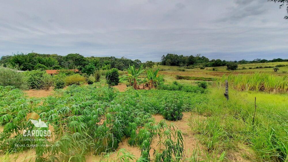 Sítio, 3 quartos, 3 hectares - Foto 12