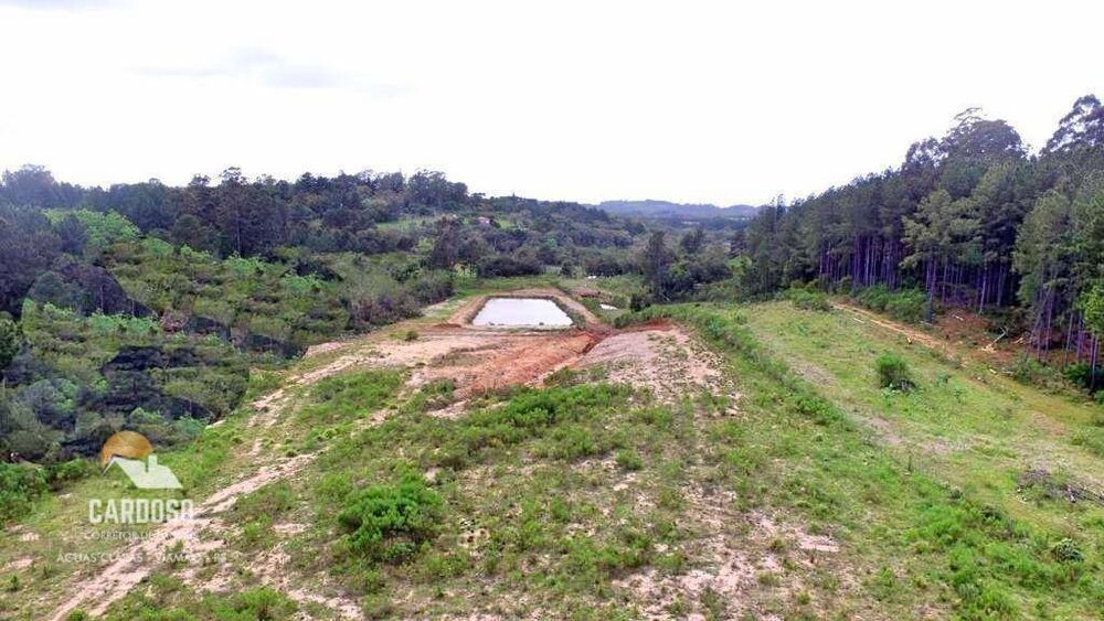 Sítio, 10 hectares - Foto 4