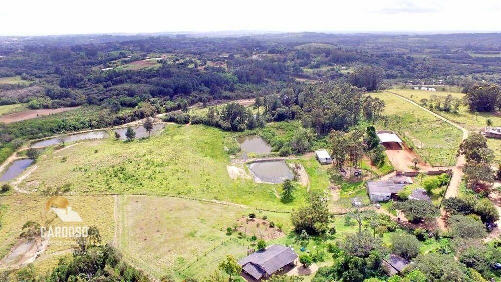 Sítio, 10 hectares - Foto 1