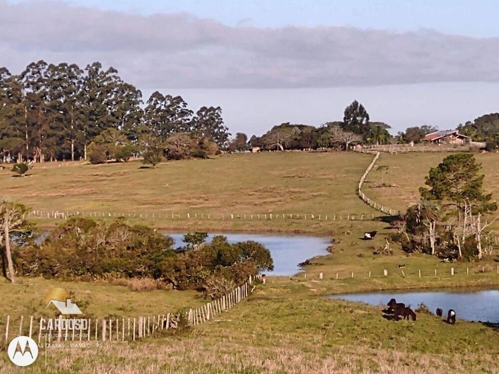 Fazenda, 128 hectares - Foto 1