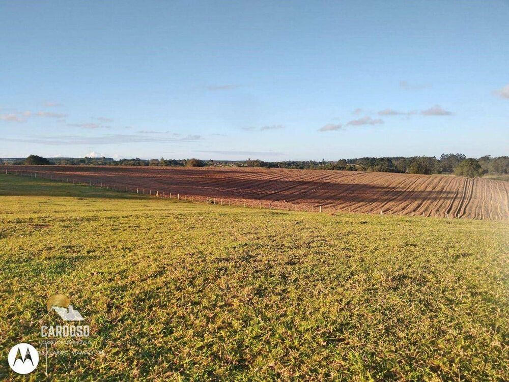 Fazenda, 128 hectares - Foto 7