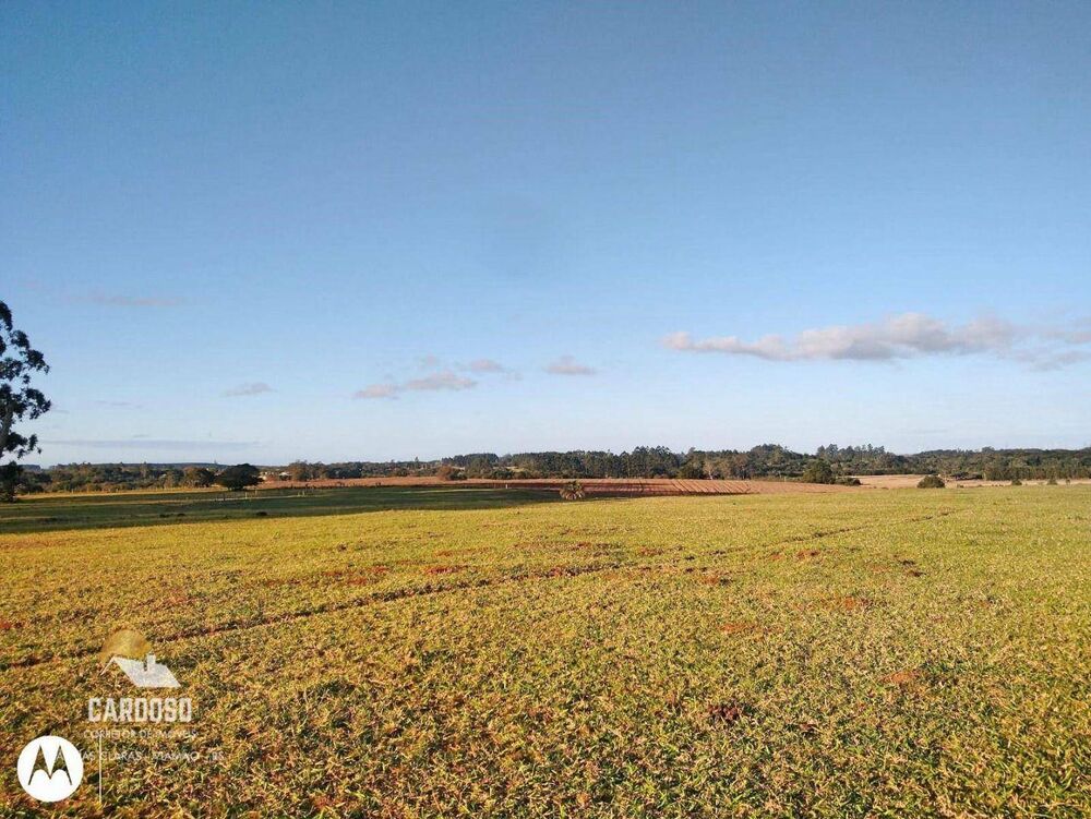 Fazenda, 128 hectares - Foto 8