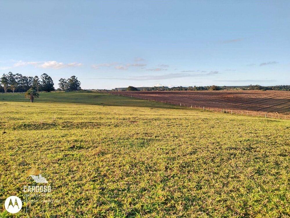 Fazenda, 128 hectares - Foto 6