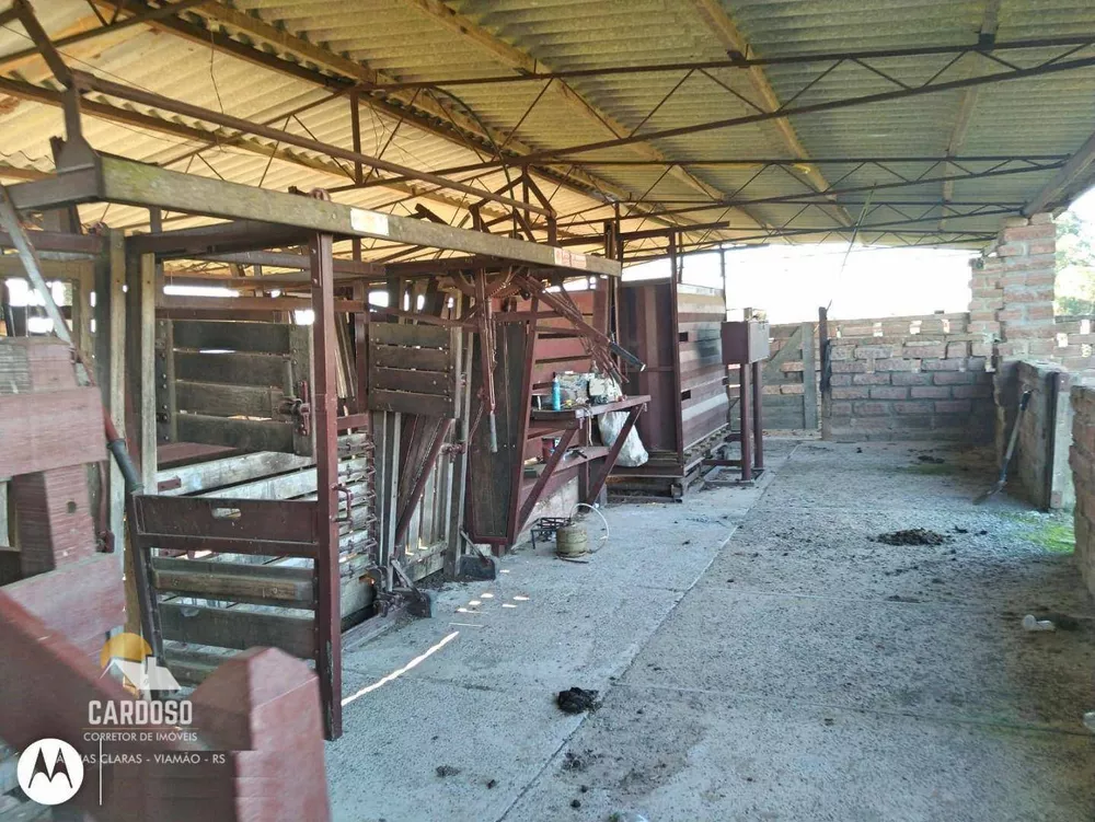 Fazenda, 128 hectares - Foto 14