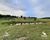 Sítio, 3 quartos, 2 hectares - Foto 2