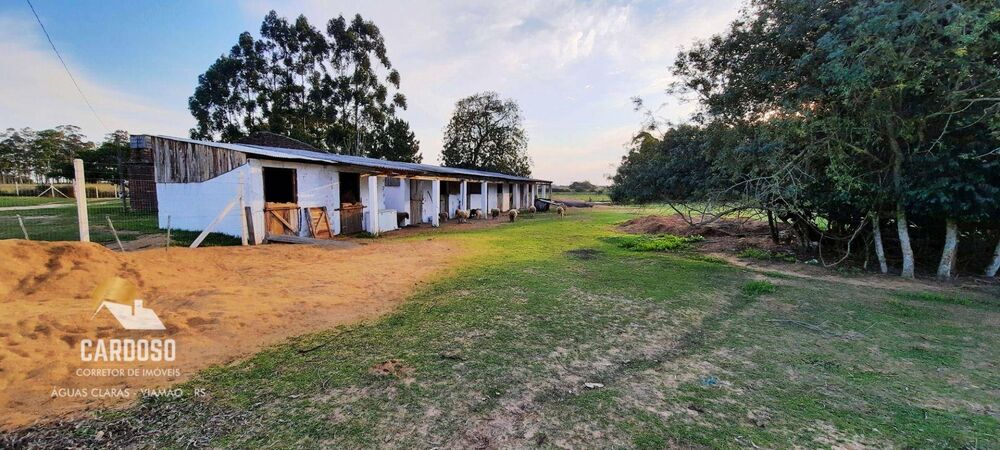 Sítio, 4200 m² - Foto 14