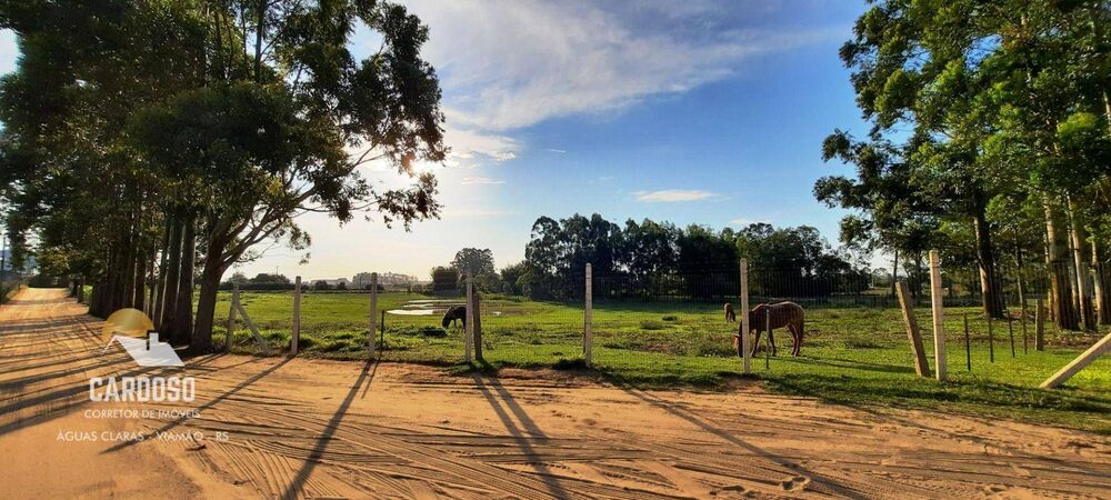 Sítio, 4200 m² - Foto 9