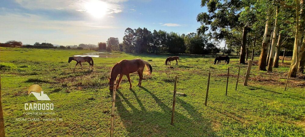 Sítio, 4200 m² - Foto 8