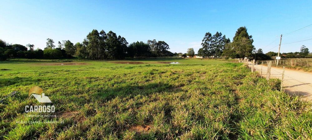 Sítio, 4200 m² - Foto 10