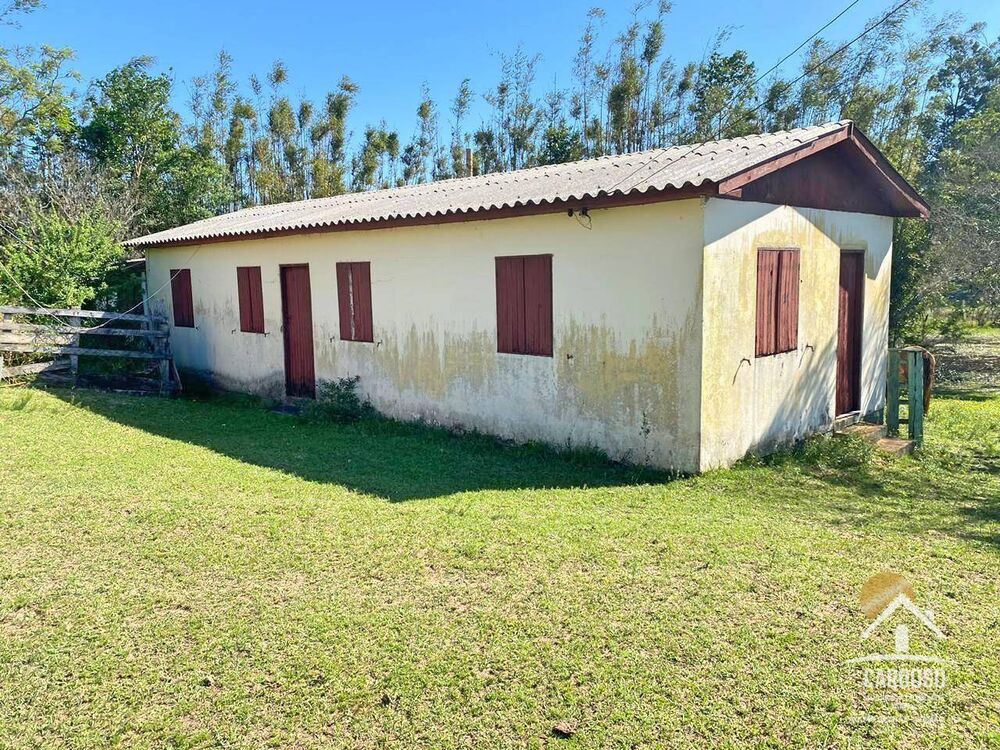 Sítio, 45 hectares - Foto 8