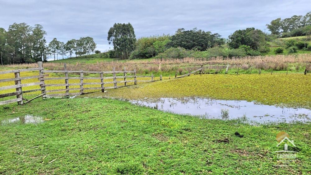 Sítio, 45 hectares - Foto 6