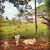 Fazenda, 370 hectares - Foto 4